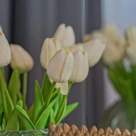 Kua Luxury Loft Coresi Apartament Brașov