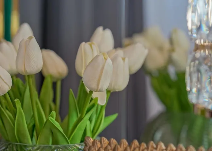 Kua Luxury Loft Coresi Apartment Brasov