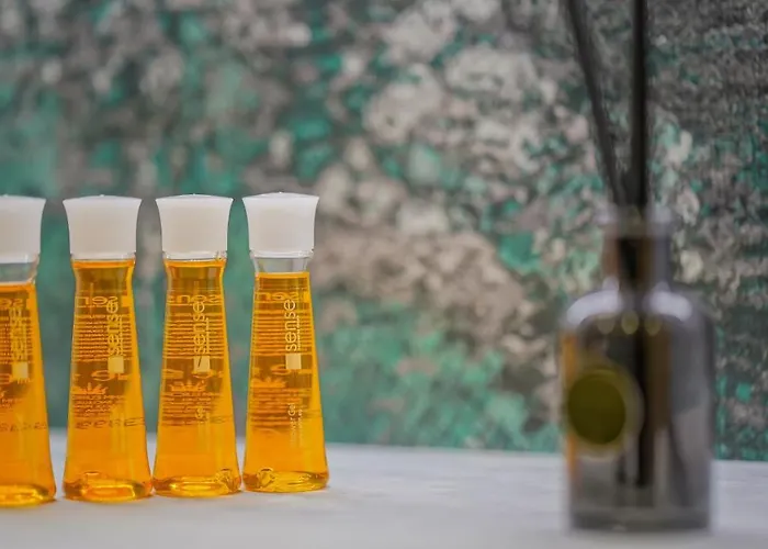 Apartment Kua Luxury Loft Coresi